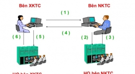 Xuất khẩu tại chỗ là gì? Quy trình thủ tục xuất khẩu hàng hóa tại chỗ